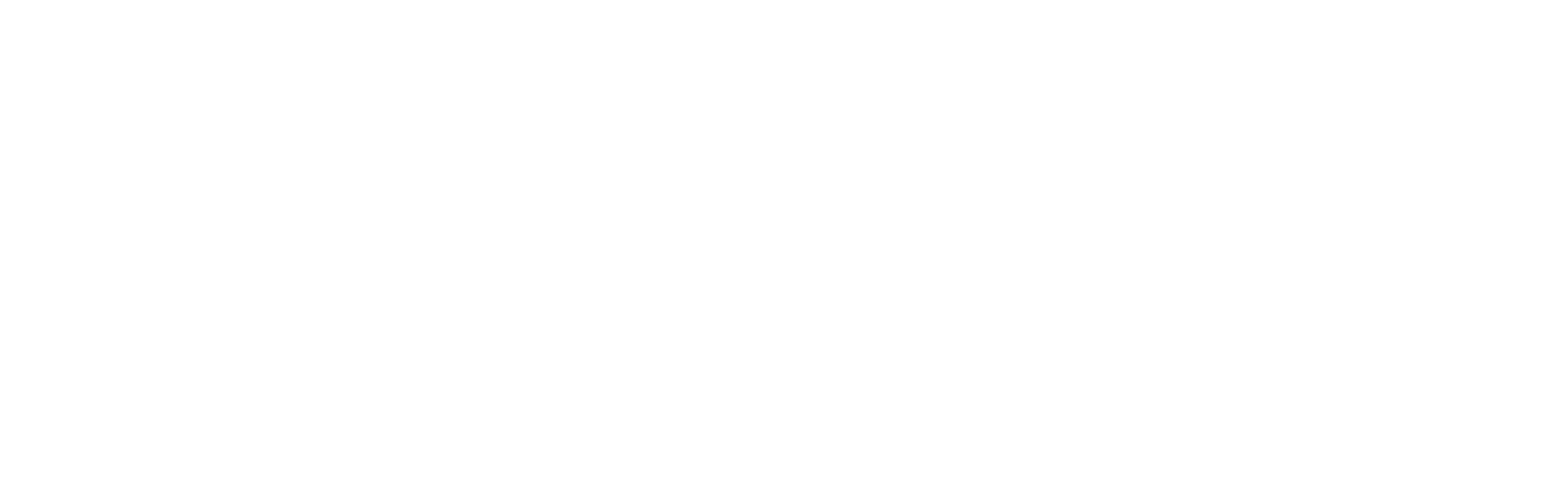 MEX Logo white.png
